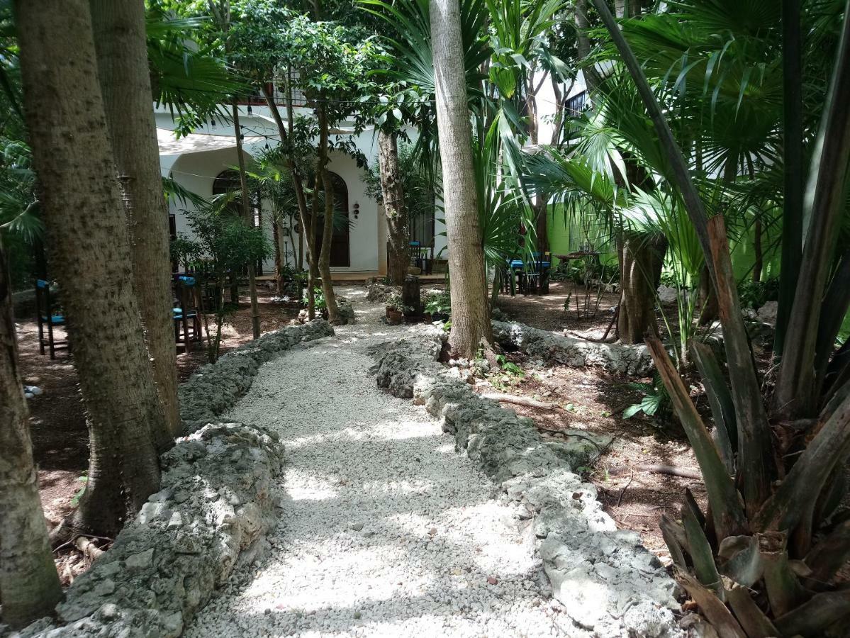 Casita Rustica En La Selva 2* Cancún