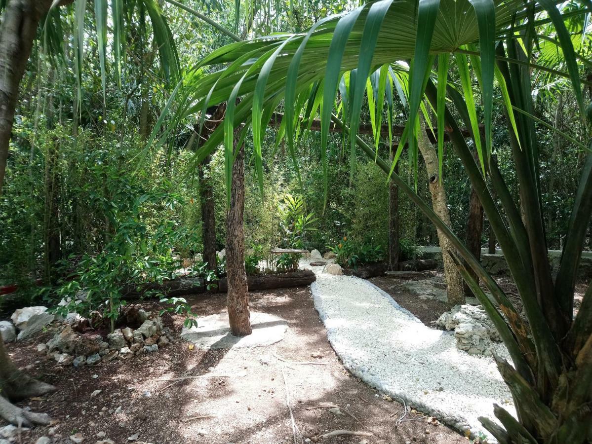 Casita Rustica En La Selva