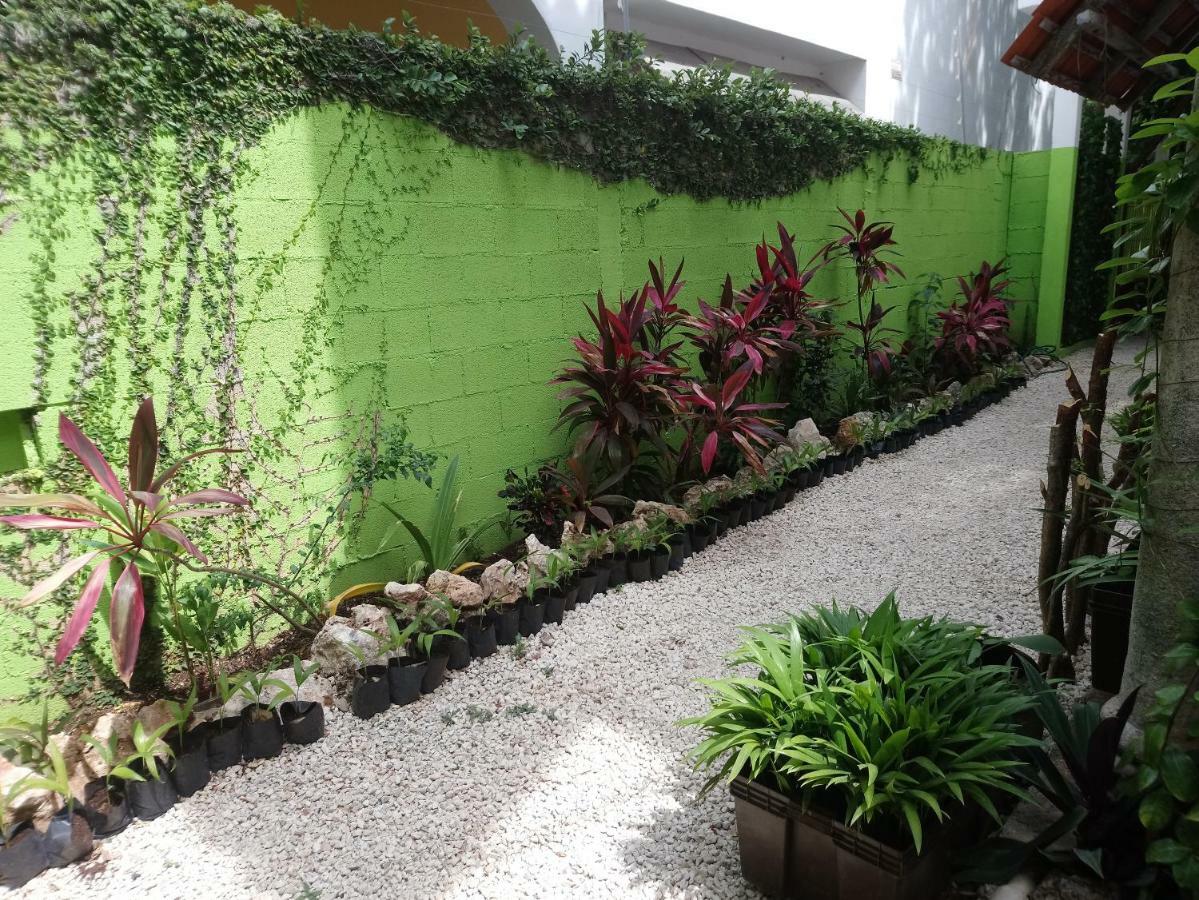 Casita Rustica En La Selva Cancún