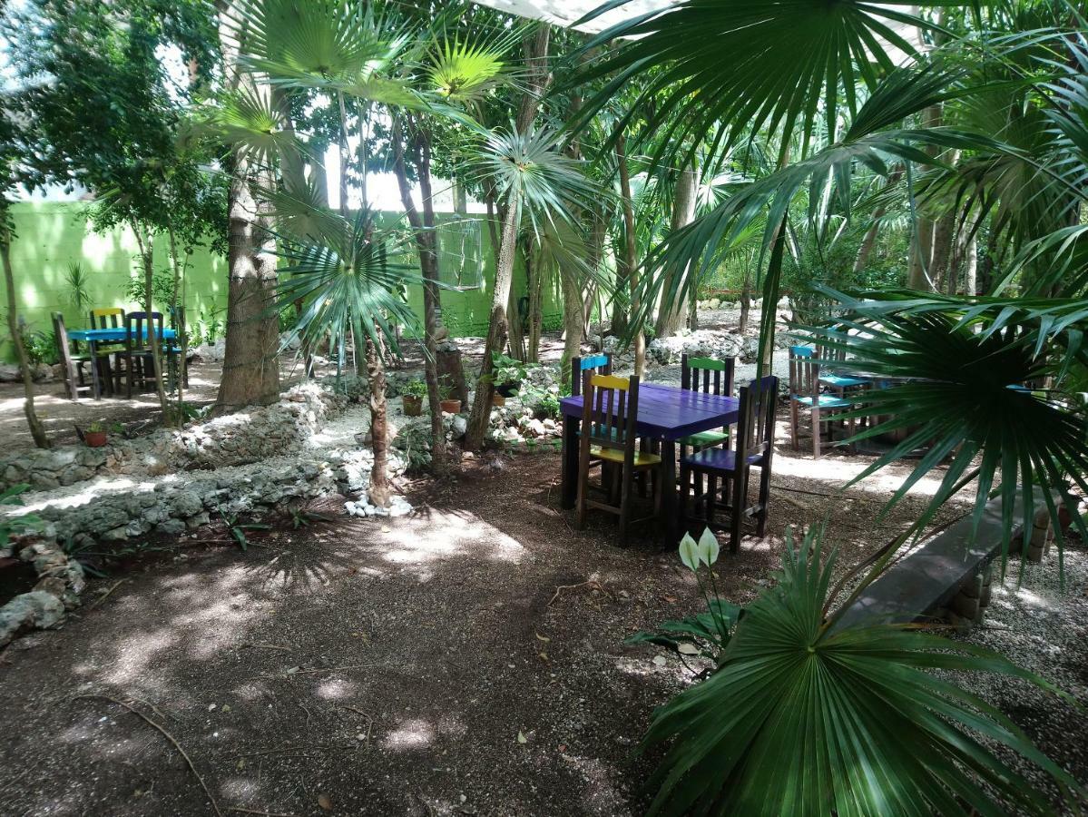 Casita Rustica En La Selva