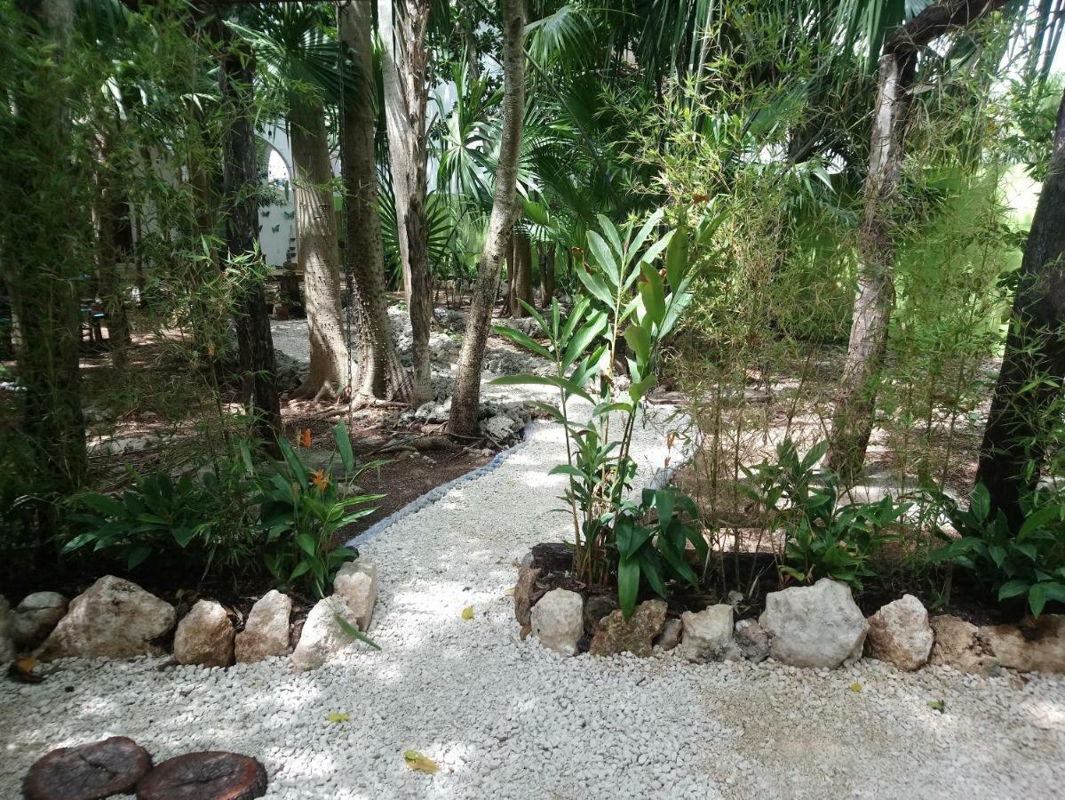 Casita Rustica En La Selva Cancún