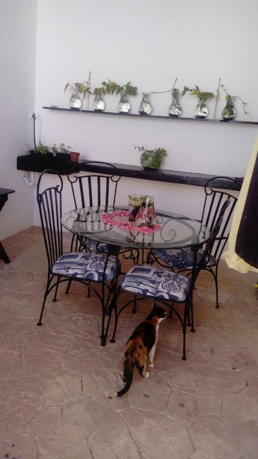 El Limonazo Homestay