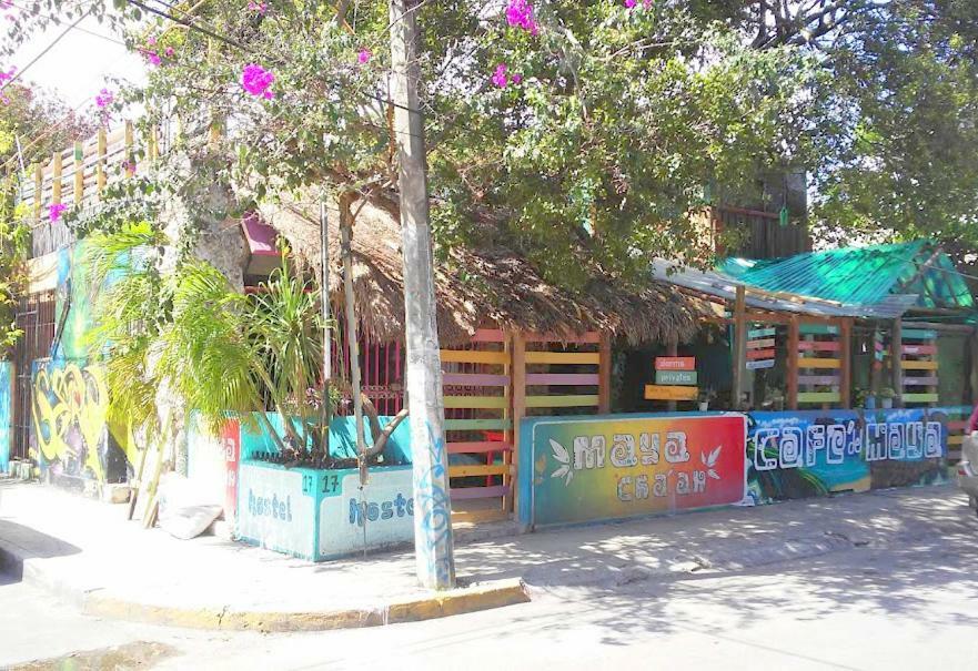 Gasthof Maya Cha'An Guesthouse *