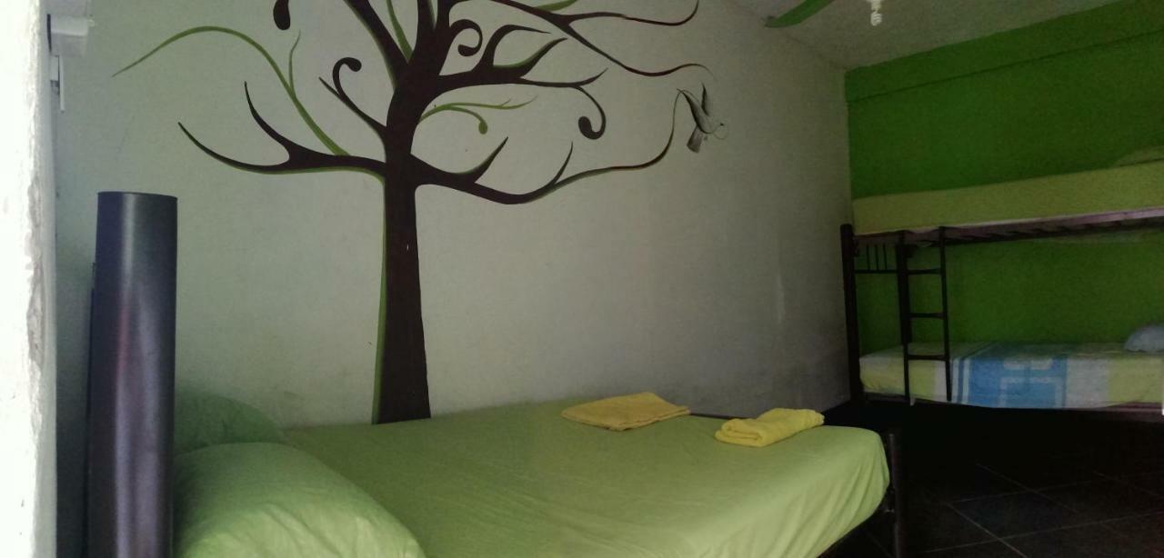 Hostel Orquideas Cancun