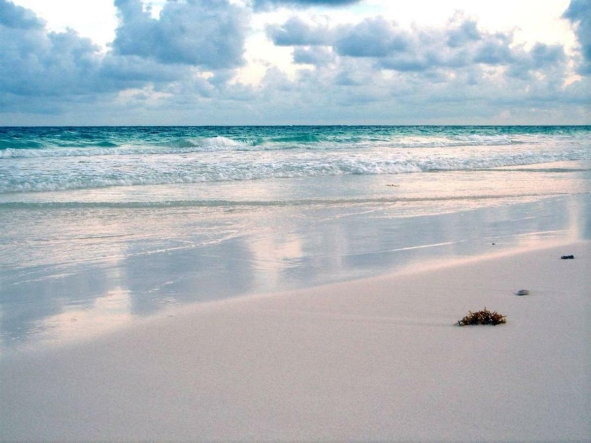Beachfront In The Best Location! Apartamento Cancún