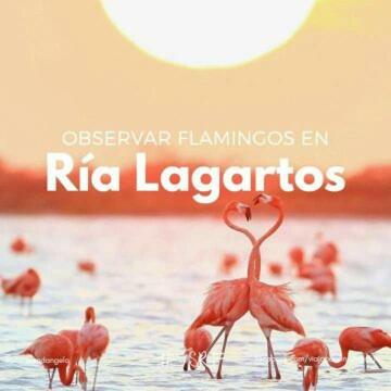 Homestay El Limonazo Cancun