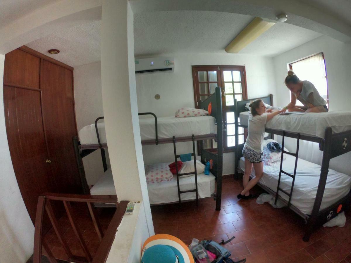 Granada 6 Hostel *