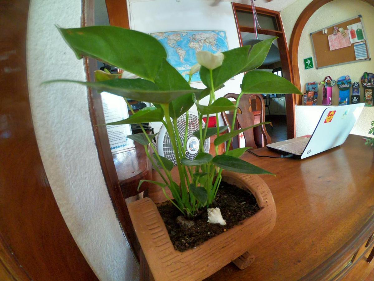 Granada 6 * Cancun