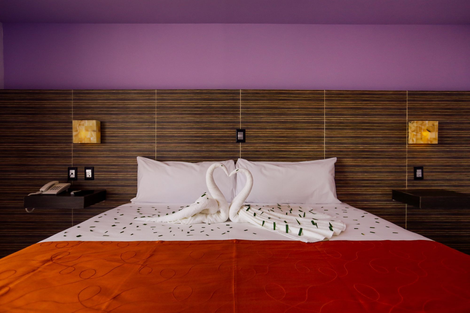 Hotel Kavia 4*