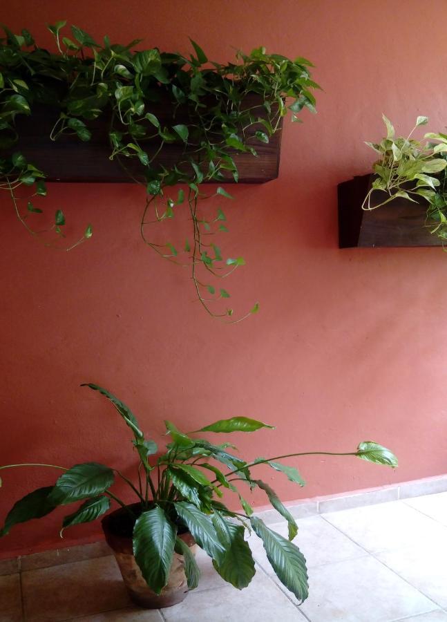 Apartment Exceptional, Wide And Charming Apartment, Excellent Location *