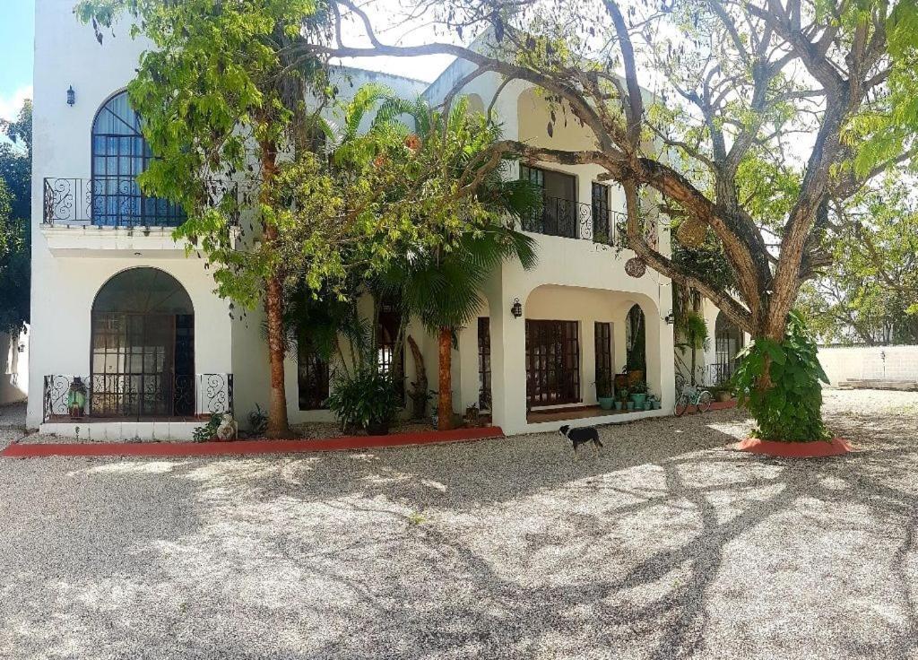 Hacienda Los Alamos Cancun