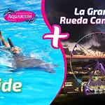 Suite Brisas Cancun