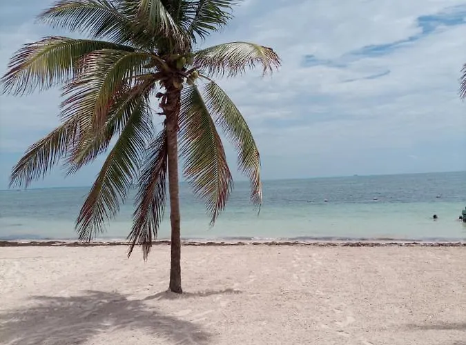 Corazón del Pescador