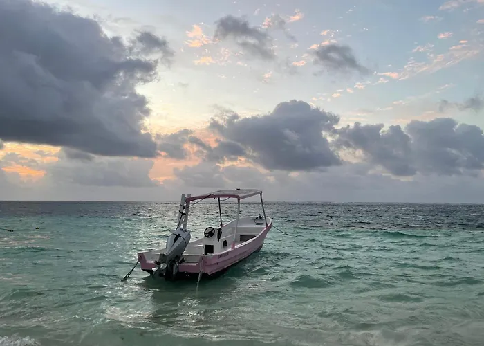 Home\'S Jungle Puerto Morelos Cancun 20 Minutes From The Airport