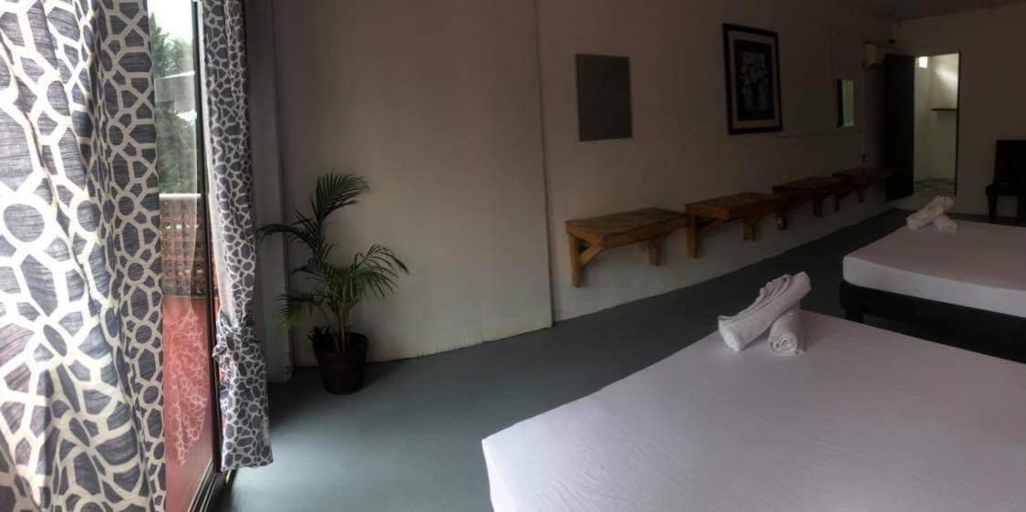 Bed and breakfast Casa Alebrije