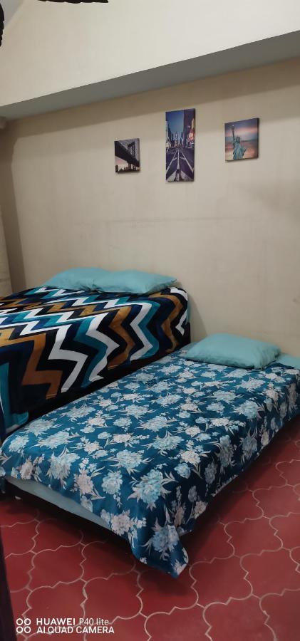 Homestay Casa Erizo 8 *