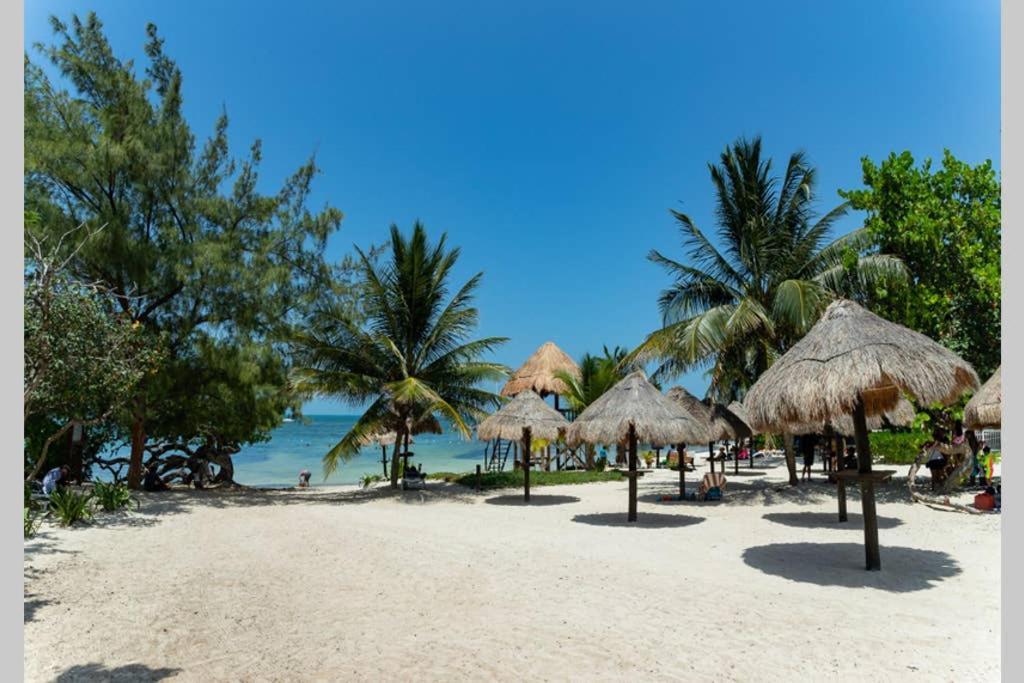 Apartment Amara Beachfront Caribe R *