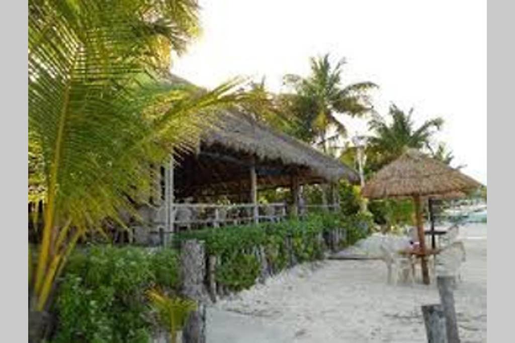 Amara Beachfront Caribe R Apartment
