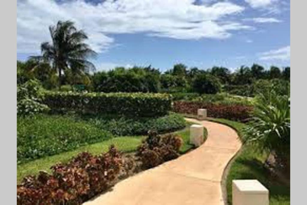 Amara Beachfront Caribe R Apartment