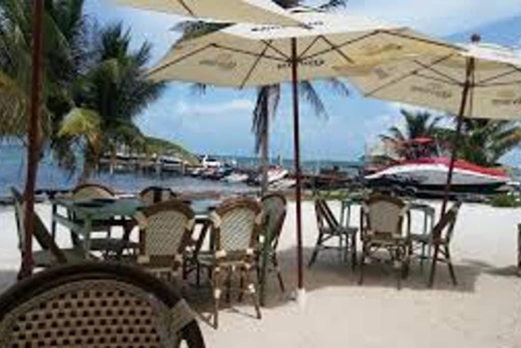 Apartment Amara Beachfront Caribe R *