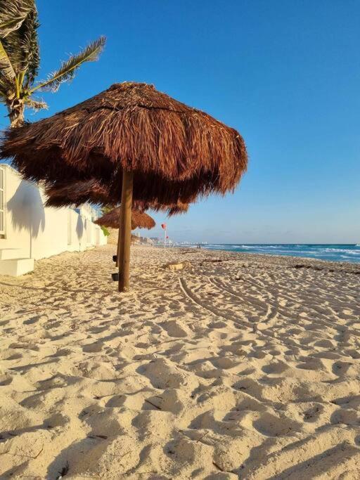 Ocean Turtle Nest, Boutique Apartment *