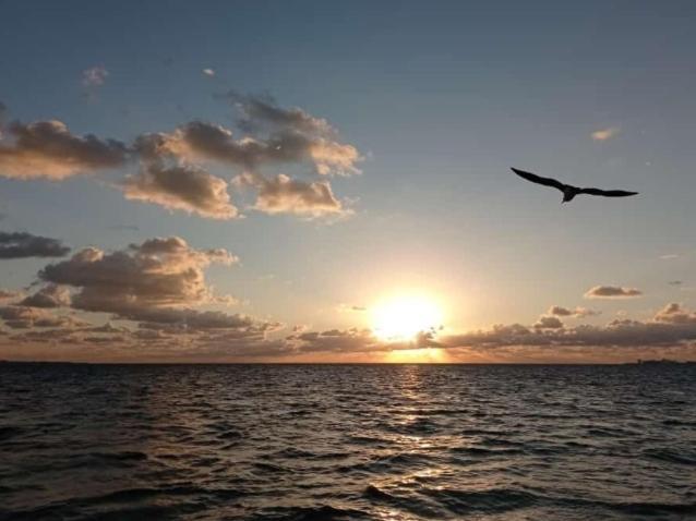Corazón Del Pescador Cancún