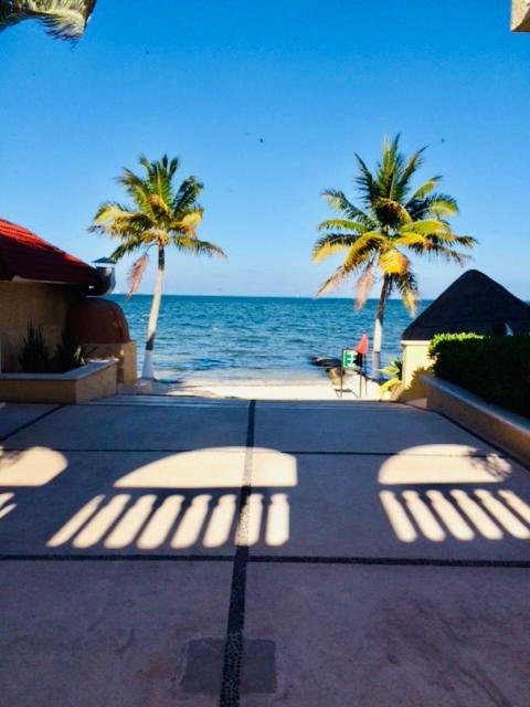 Punta Me Ocean View And In Ritmo & Waterpark *