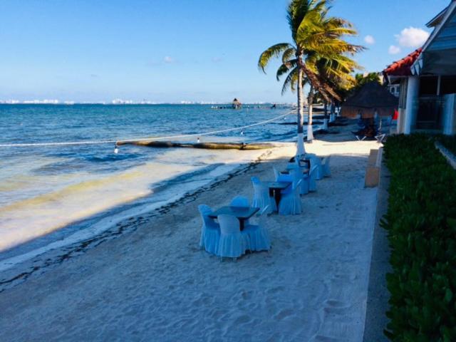Punta Me Ocean View And In Ritmo & Waterpark Apartment *