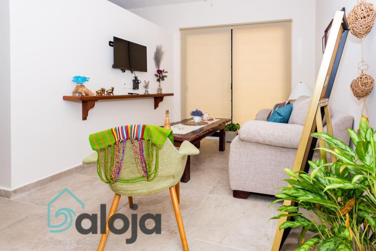 Ideal Estudios Calidos Y Acogedores * Cancun