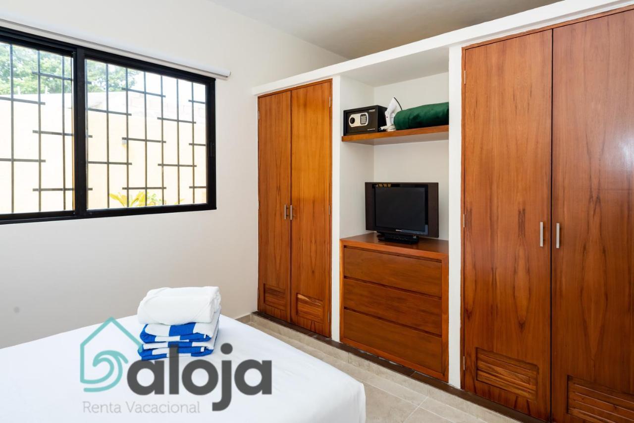 Ideal Estudios Calidos Y Acogedores Apartment *