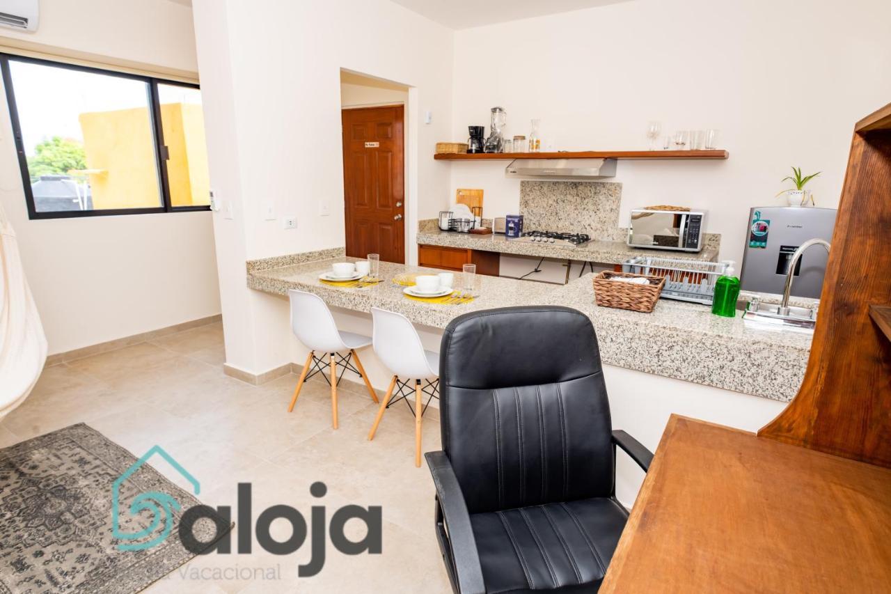 Ideal Estudios Calidos Y Acogedores Apartment *
