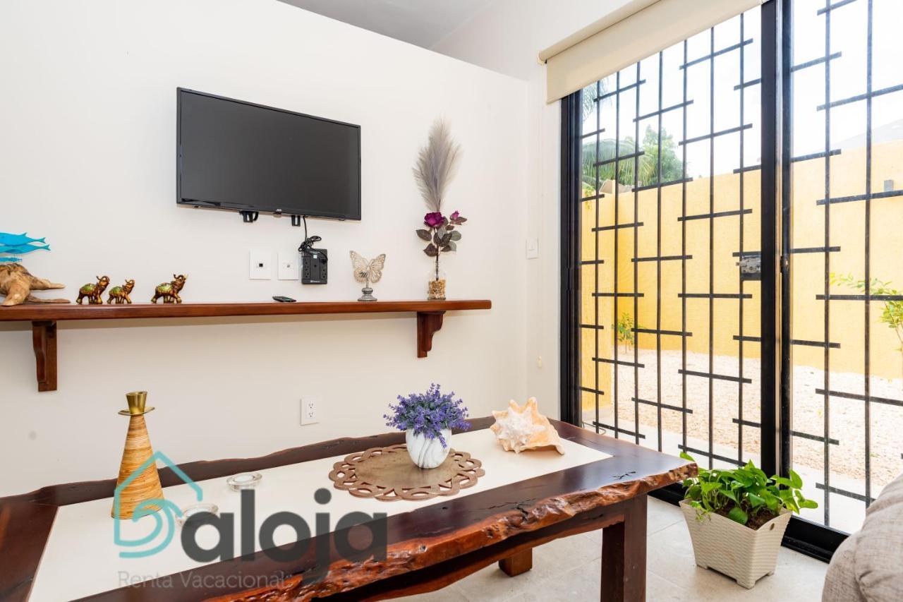 Ideal Estudios Calidos Y Acogedores Cancun