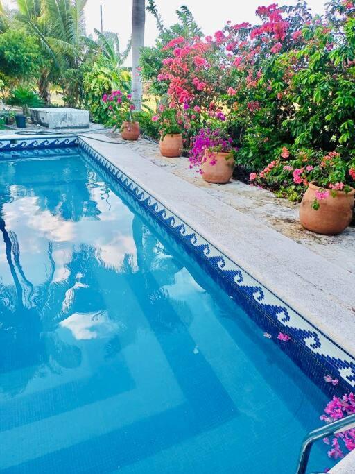 Lindo Y Amplio Departamento En Planta Baja 2 Hab -col106 Apartamento Cancún