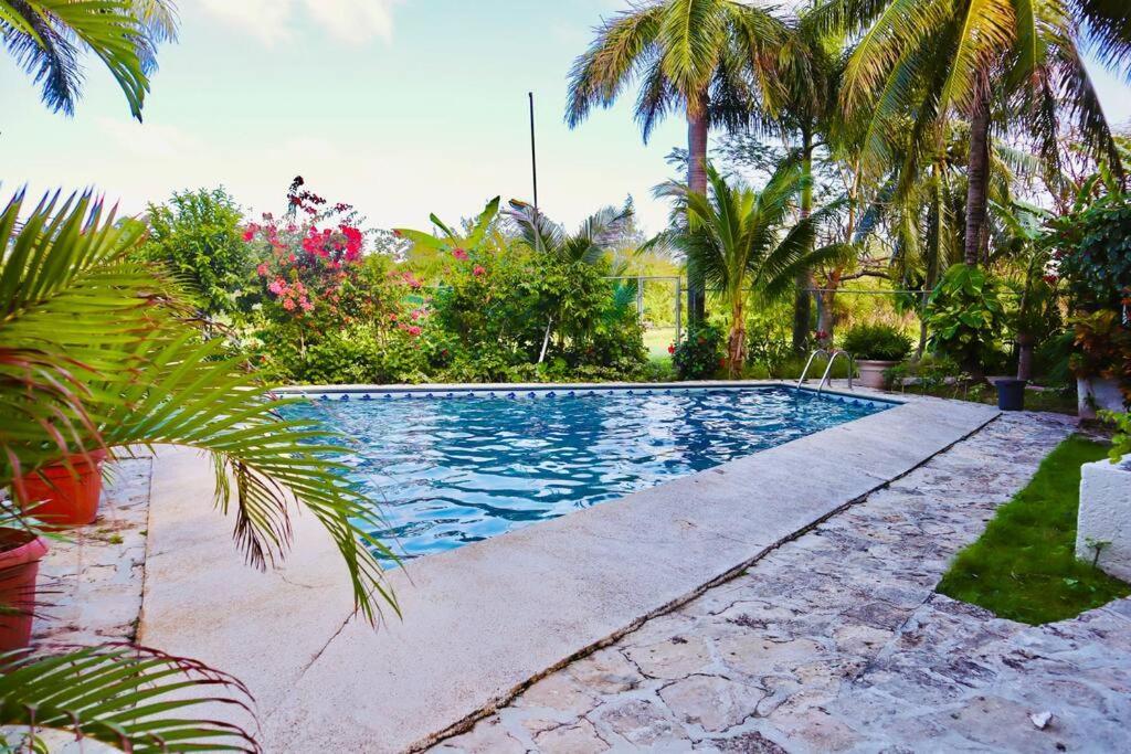 Apartamento Lindo Y Amplio Departamento En Planta Baja 2 Hab -col106 Cancún