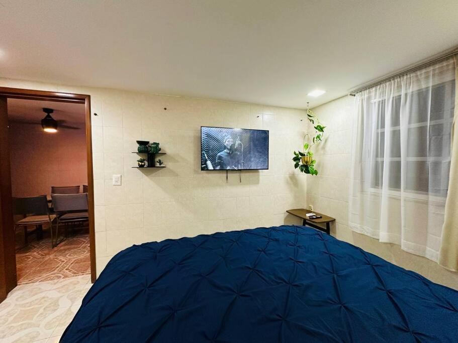 Apartment Oasis Sensory - Market 28