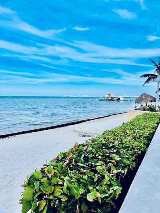 Punta Me Beach Front In The & Waterpark Apartment Cancun