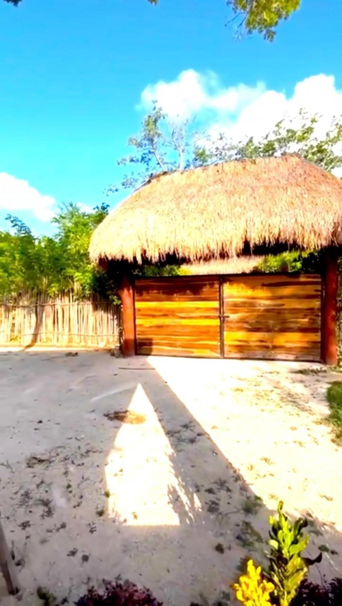 Casa Mateo *