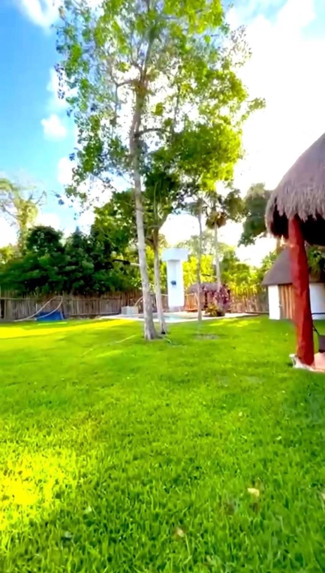 Casa Mateo *