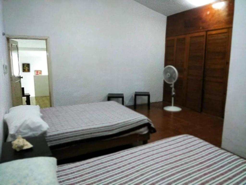 Homestay Centrico Y Tranquilo *