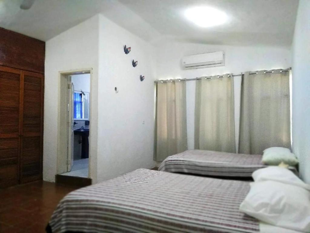 Homestay Centrico Y Tranquilo *