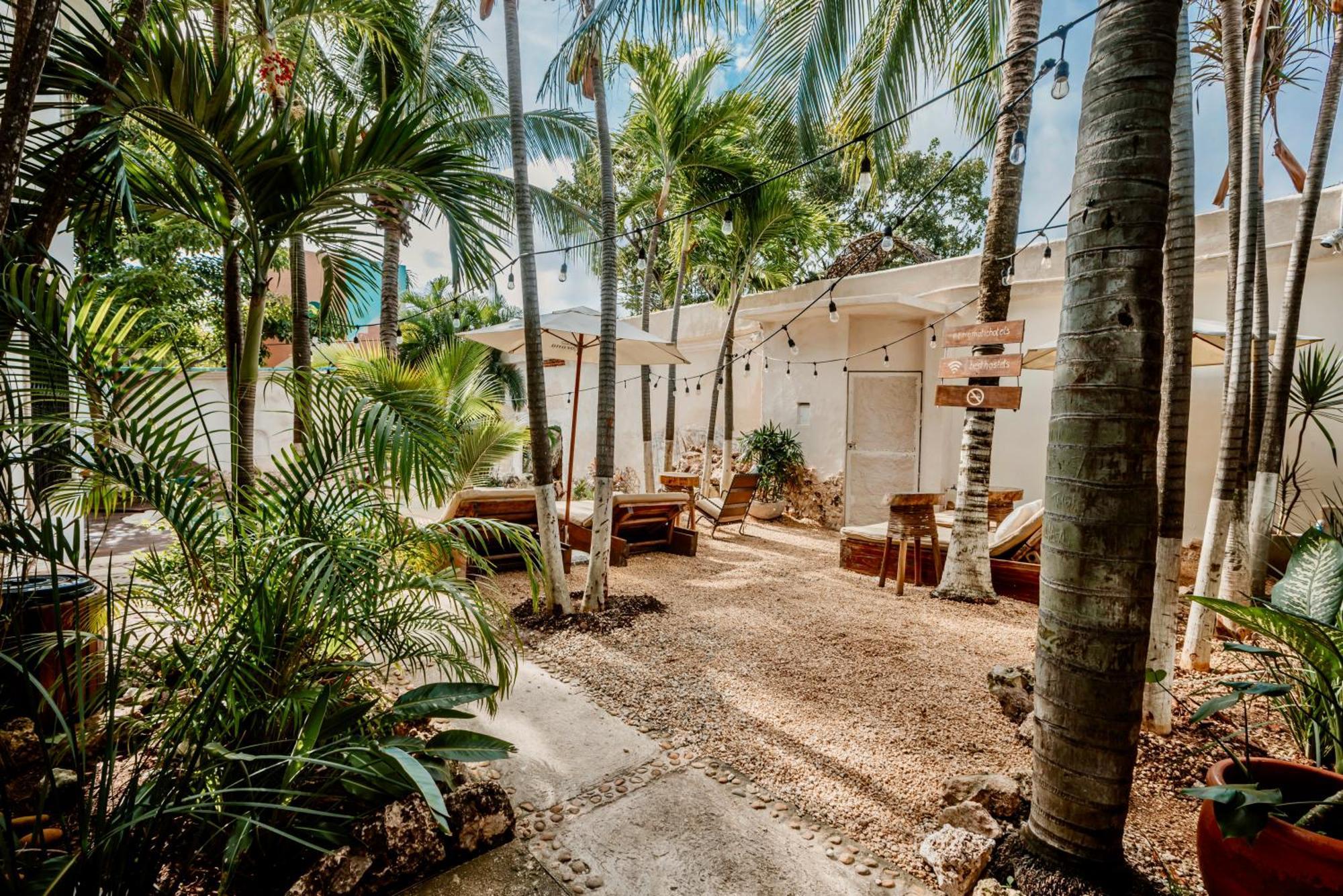 Mezcal Hotel