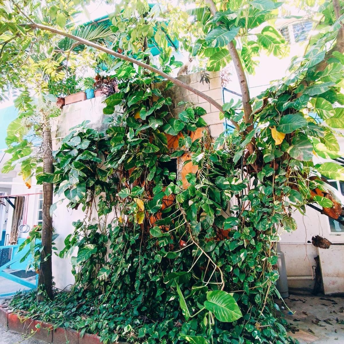Casa Turquesa Cancun