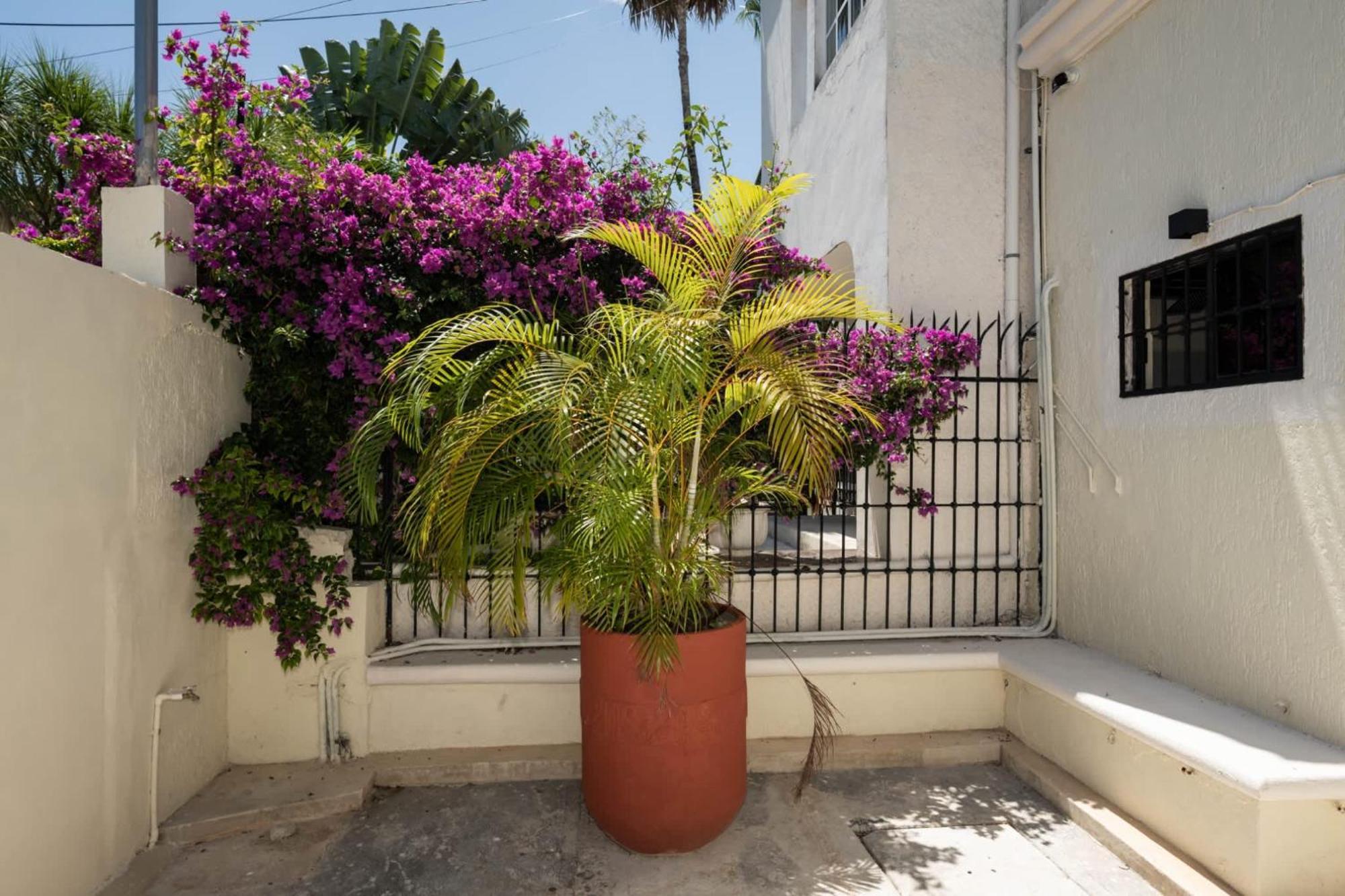 Apartment Private Entry With Patio And Ample Bathroom *