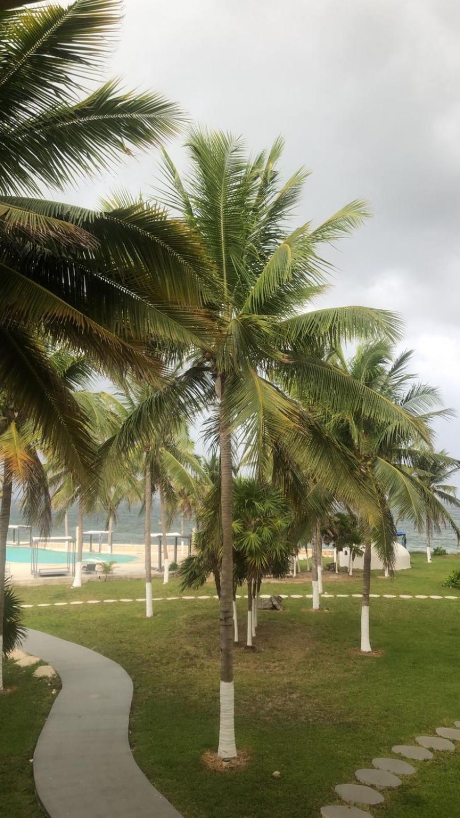 Hermoso Cancun