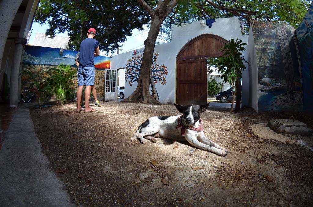 Ka Beh Hostel Cancún
