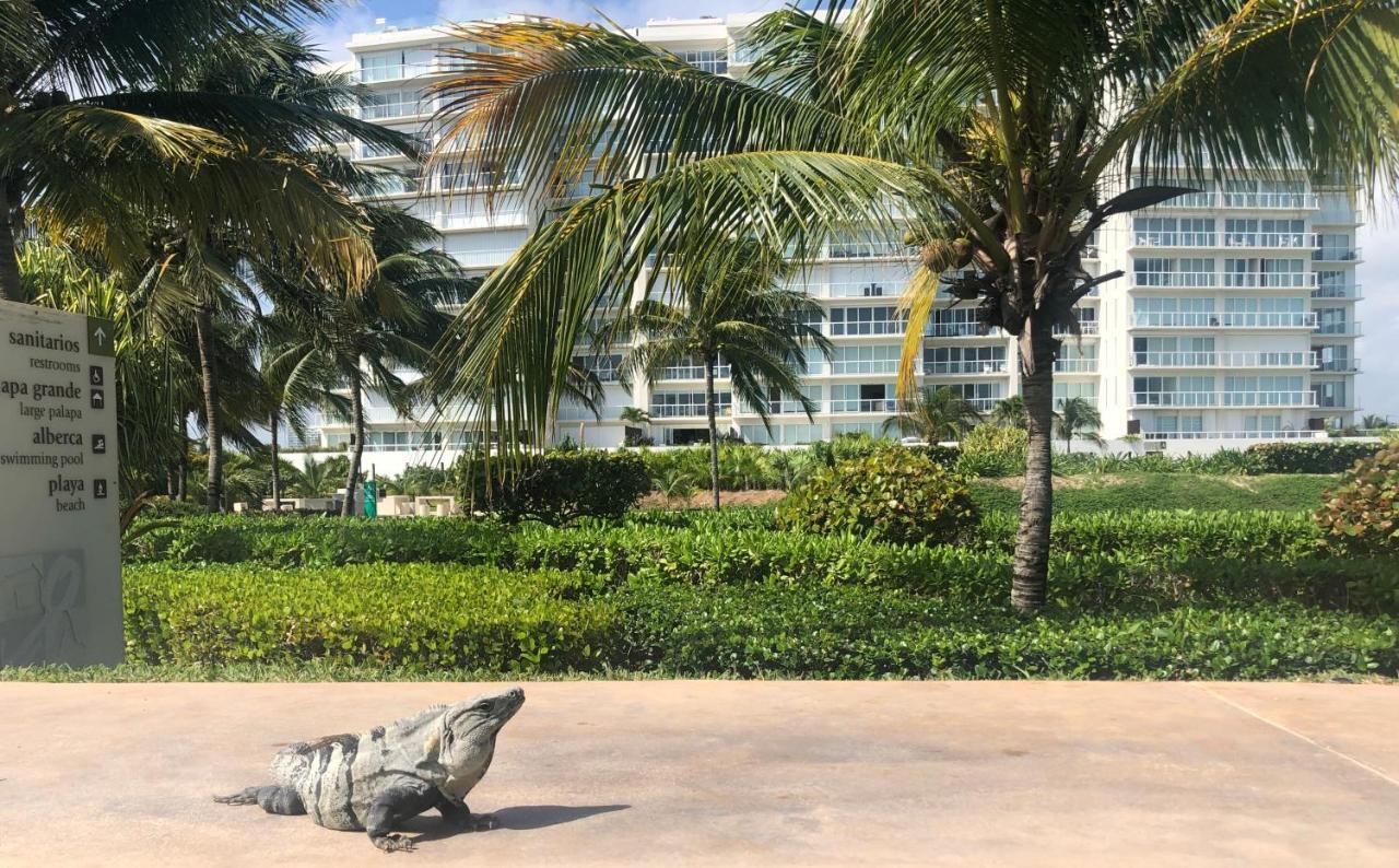 Amara Beachfront *