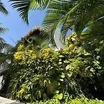 Casa Nona Rosa