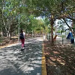 Casa Arena
