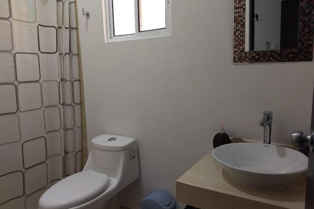 Apartment Residencial Catania *