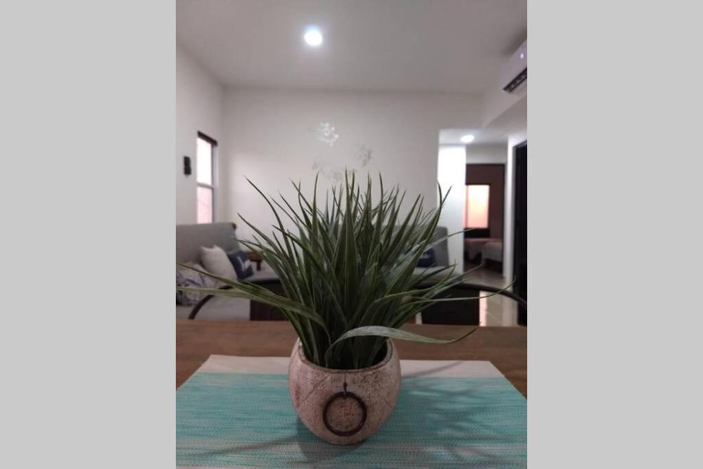 Apartment Residencial Catania *